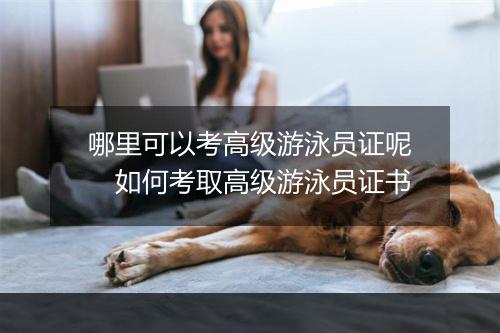 哪里可以考高级游泳员证呢　如何考取高级游泳员证书